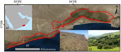 Impact of Forest Cover Change on Available Water Resources: Long-Term Forest Cover Dynamics of the Semi-Arid Dhofar Cloud Forest, Oman